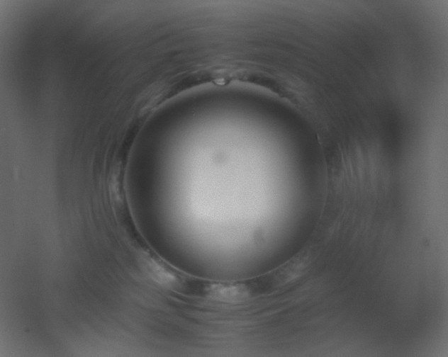 X0000053070185200507111228