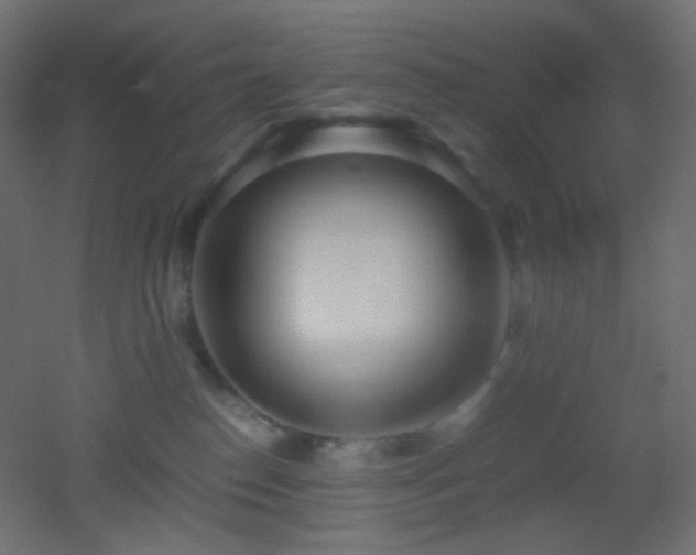 X0000053070186200507111228