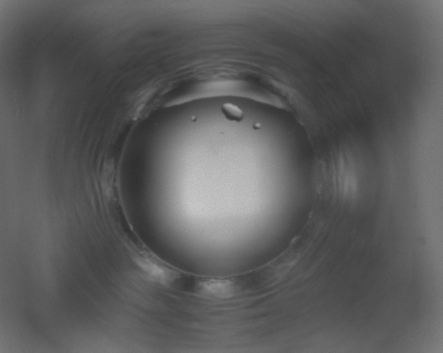 X0000053070189200507111228