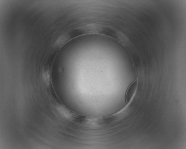 X0000053070190200507111228