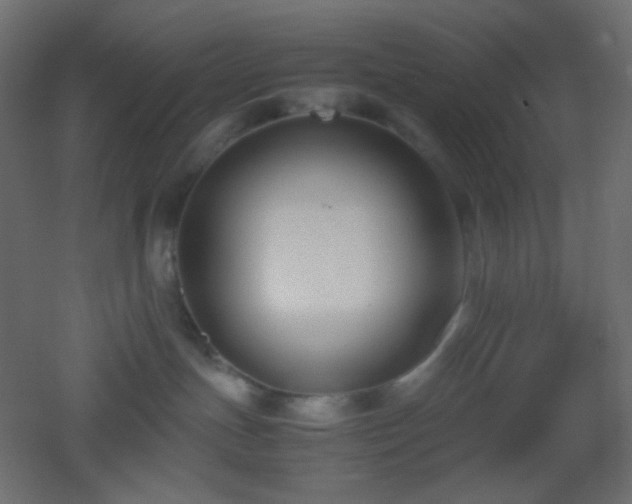 X0000053070191200507111228