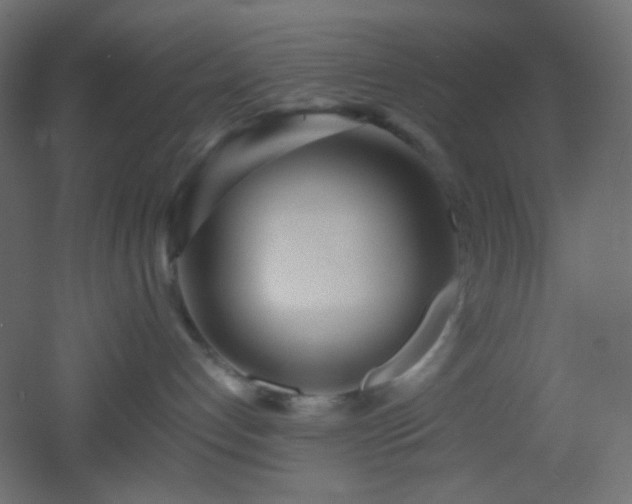 X0000053070192200507111228