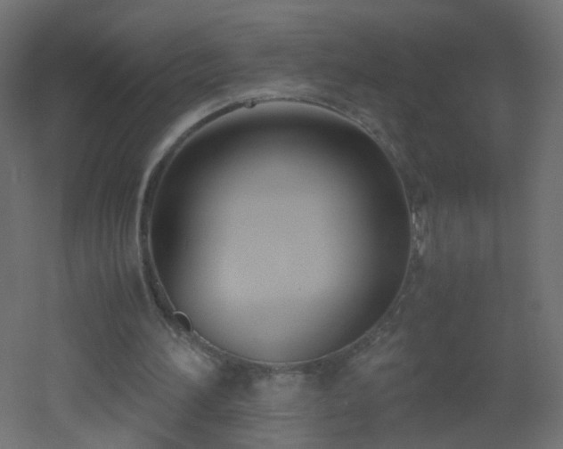 X0000053070196200507111227