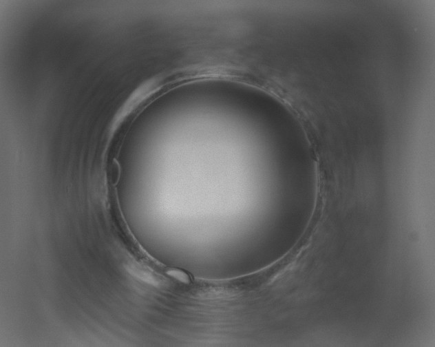 X0000053070198200507111227