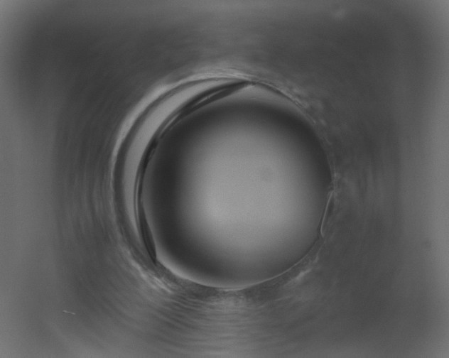 X0000053070200200507111227