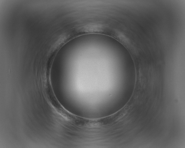 X0000053070202200507111227