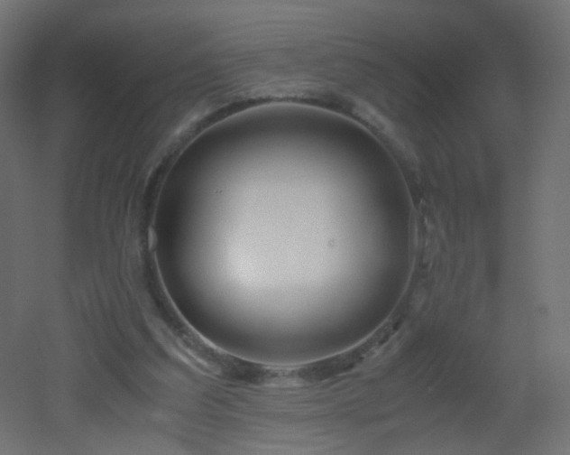 X0000053070203200507111227