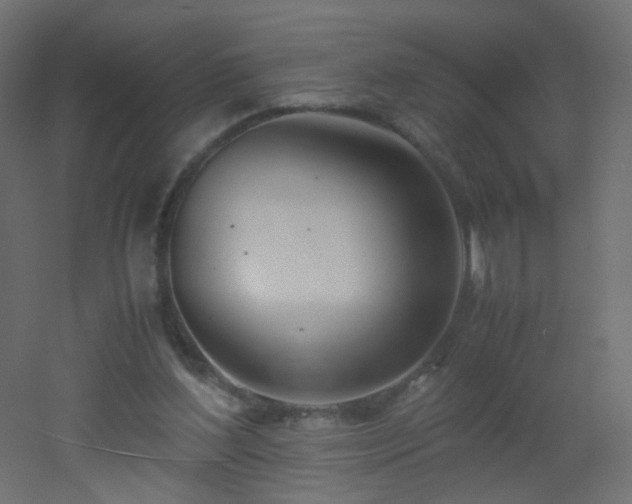 X0000053070204200507111227