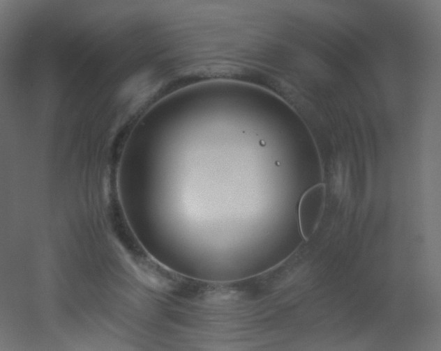 X0000053070206200507111227