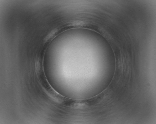 X0000053070208200507111227