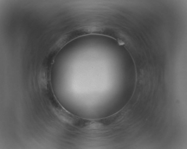 X0000053070210200507111227