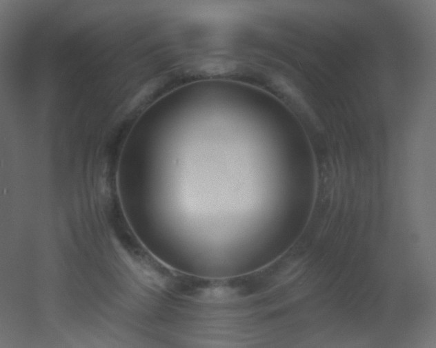 X0000053070212200507111227