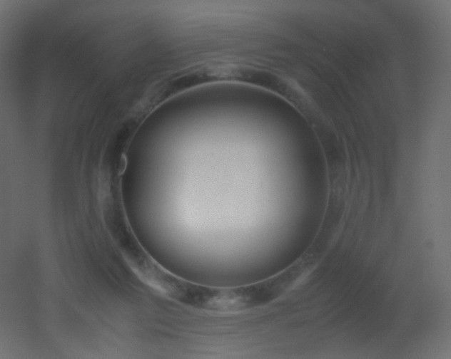 X0000053070213200507111227