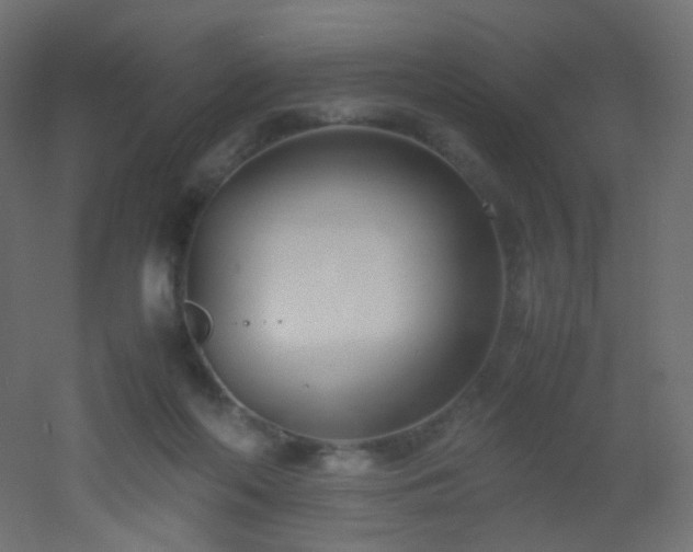 X0000053070214200507111227