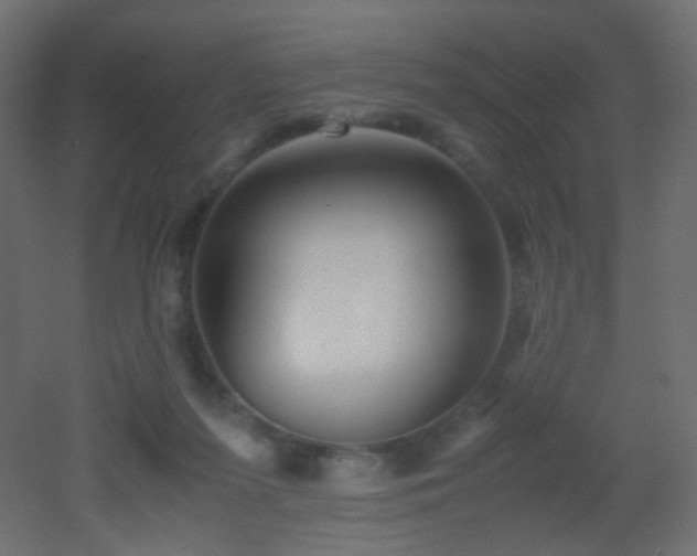 X0000053070215200507111227