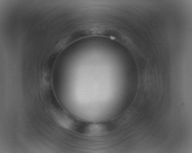 X0000053070218200507111227