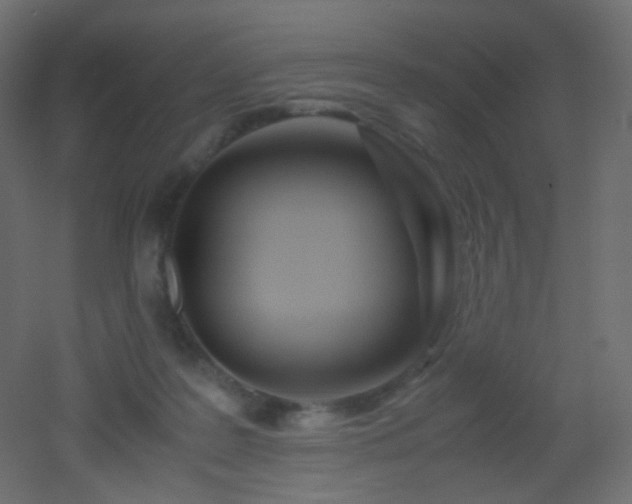X0000053070219200507111227