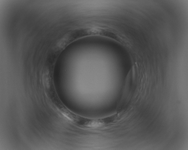 X0000053070223200507111227