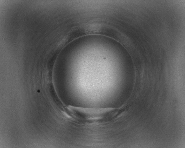 X0000053070224200507111227