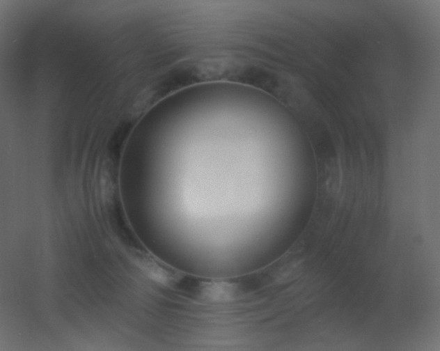 X0000053070226200507111227