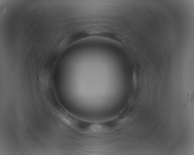 X0000053070227200507111226
