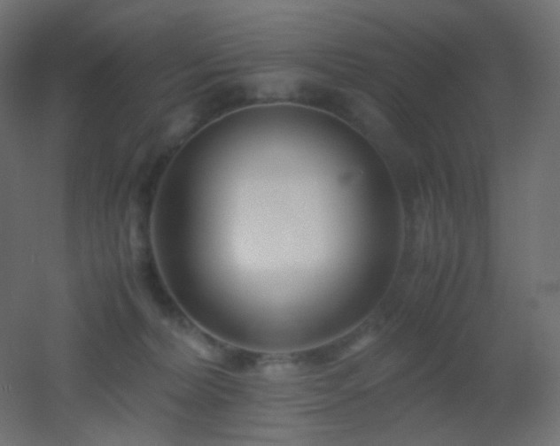 X0000053070228200507111226