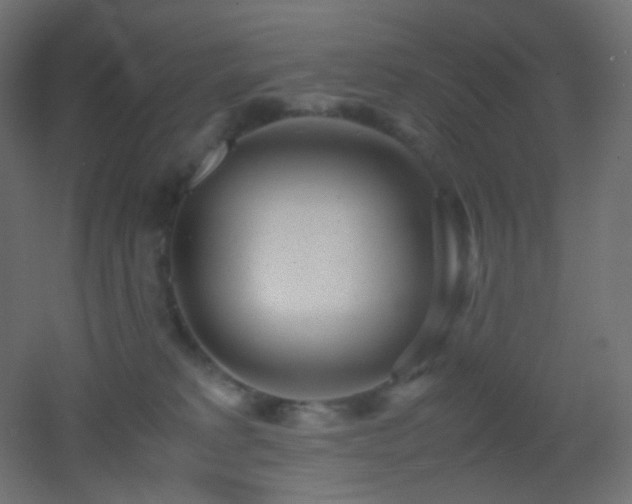 X0000053070229200507111226