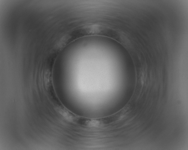 X0000053070230200507111226