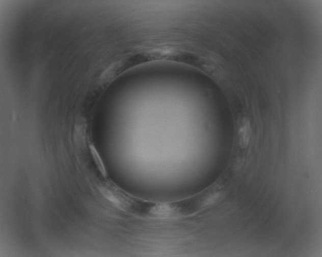 X0000053070231200507111226