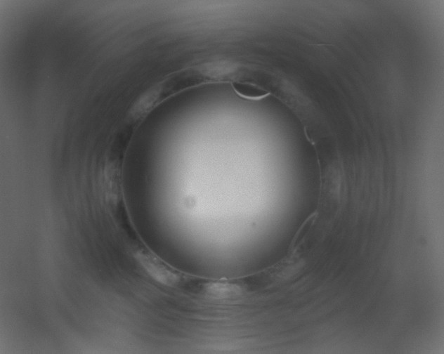 X0000053070234200507111226