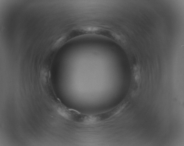 X0000053070235200507111226
