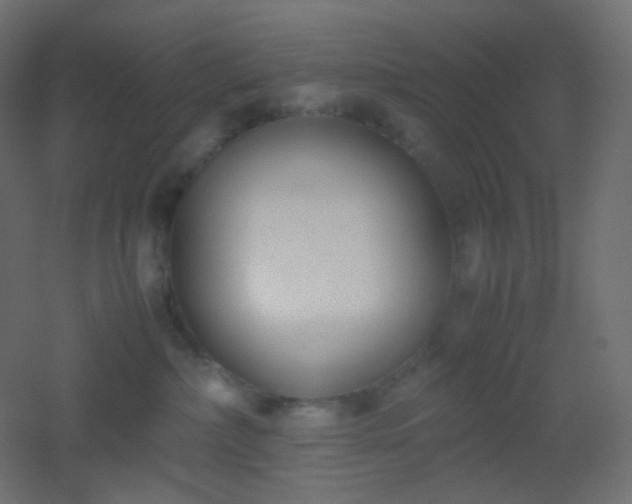 X0000053070236200507111226