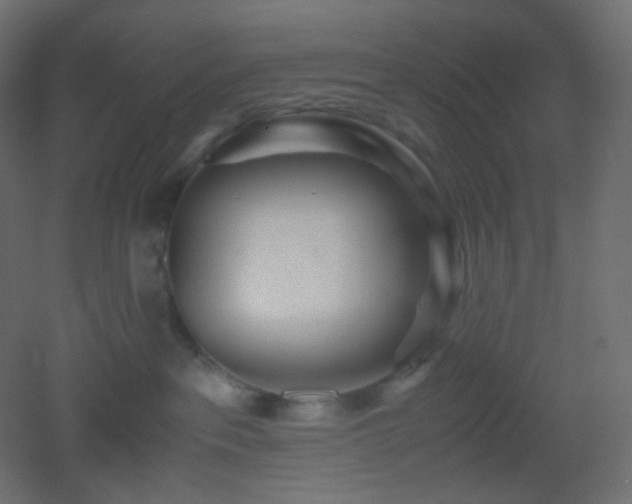 X0000053070237200507111226