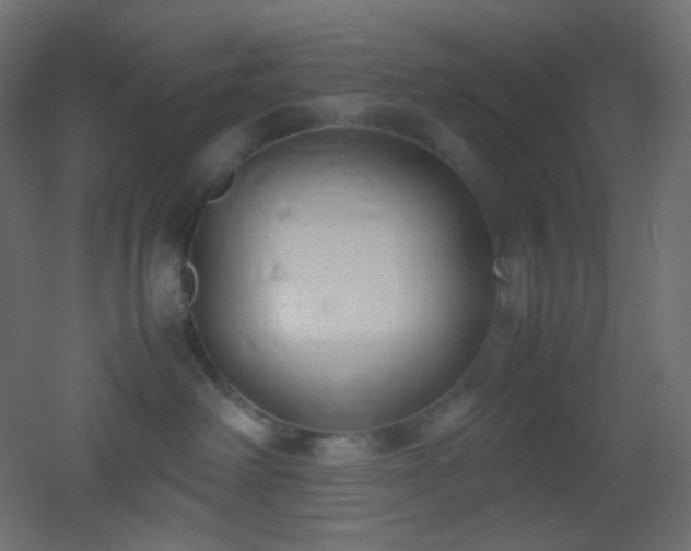 X0000053070238200507111226
