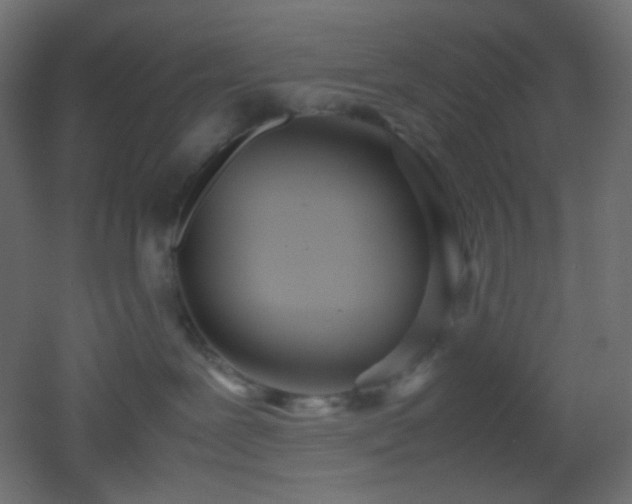 X0000053070239200507111226