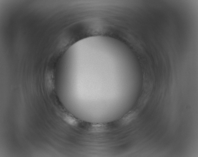 X0000053070240200507111226