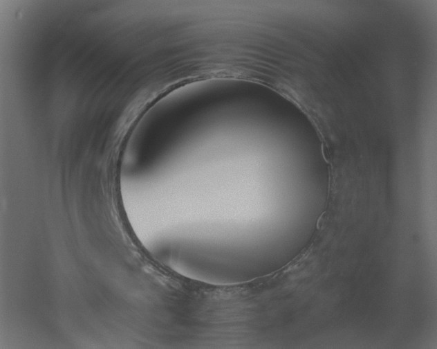 X0000053070241200507111225