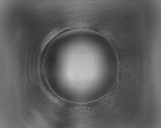X0000053070242200507111225