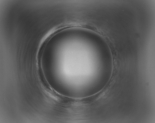 X0000053070246200507111226