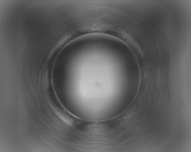 X0000053070250200507111226