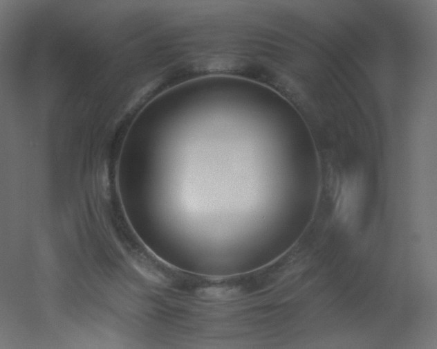 X0000053070251200507111226