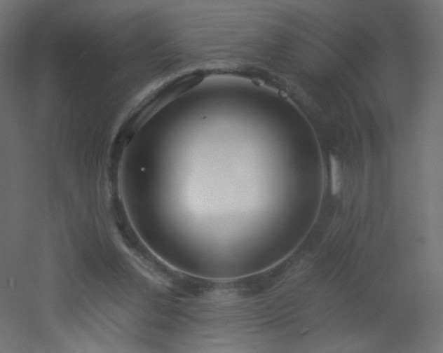 X0000053070252200507111226