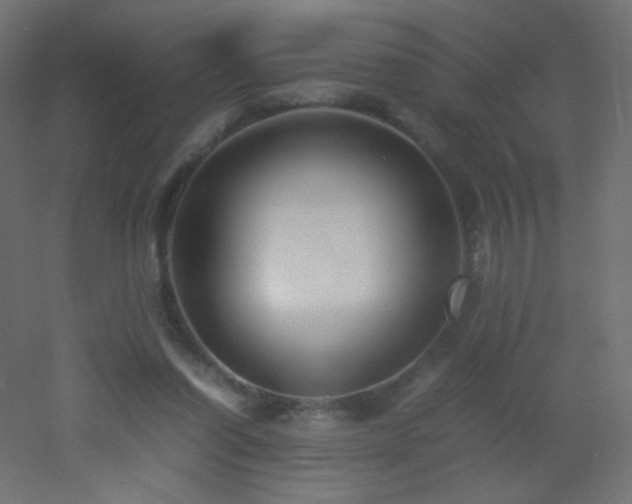 X0000053070254200507111226