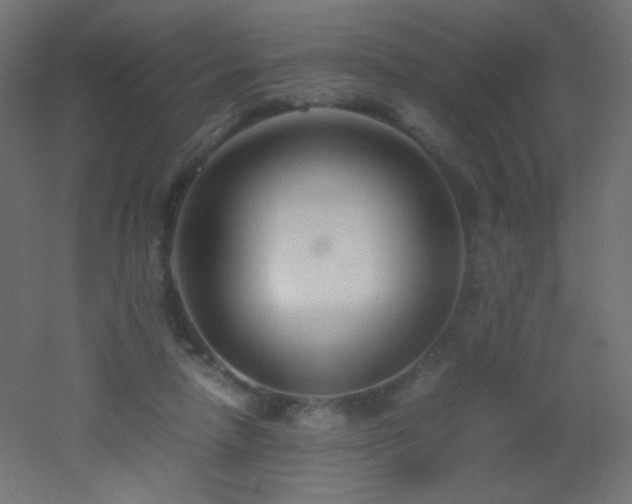 X0000053070258200507111226