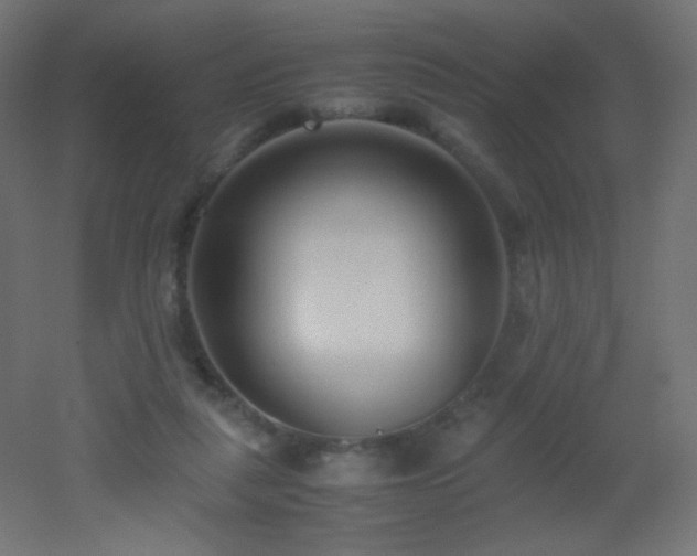 X0000053070259200507111226