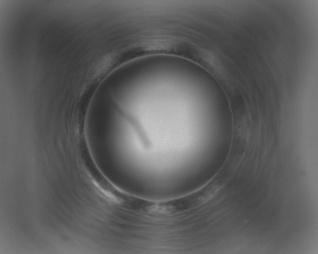 X0000053070261200507111226