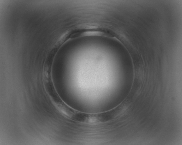 X0000053070264200507111226
