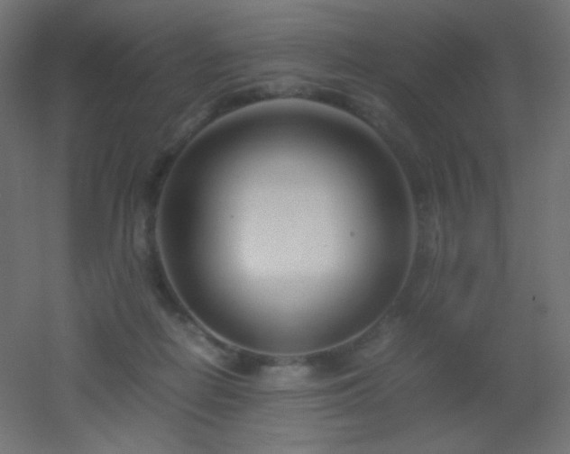 X0000053070266200507111226