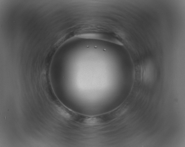 X0000053070269200507111226
