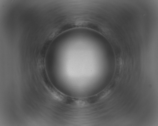 X0000053070272200507111226